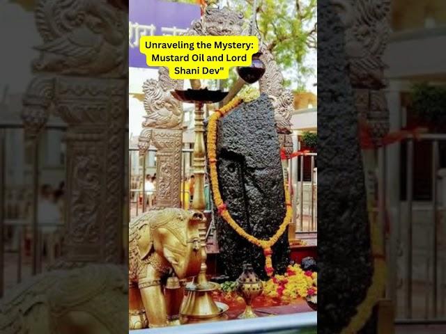 Do you know why we offer mustard oil to shani dev??? #shorts
