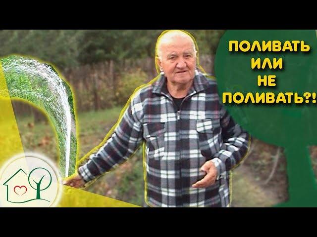 Бублик Б.А. Поливать  или не поливать  растения на огороде. Огород без хлопот