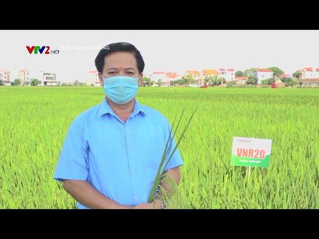 #VNR20 Bạn của nhà nông| Nông Nghiệp TV
