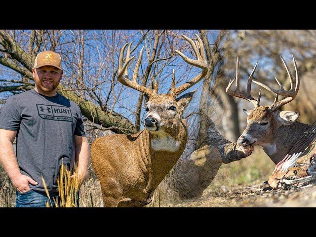 KALEB'S WHITETAIL TROPHY ROOM TOUR!