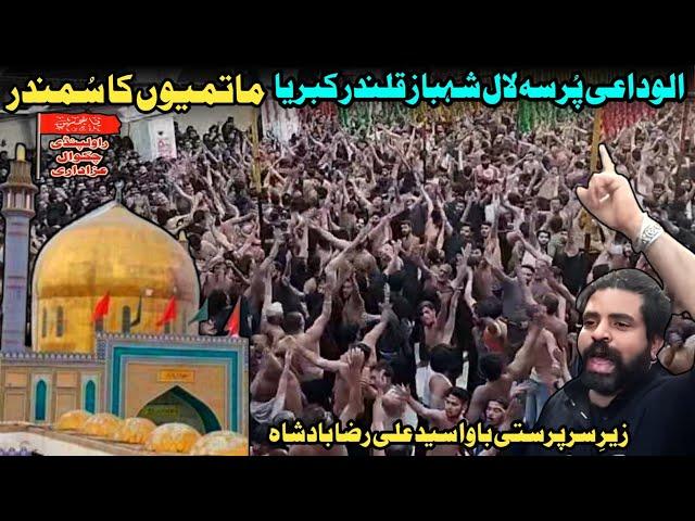 Alwadai Pursa Lal Shahbaz Qalandar Sehwan 2024 | Syed Ali Raza Badshah Bukhari | Chakwal Party Nohay