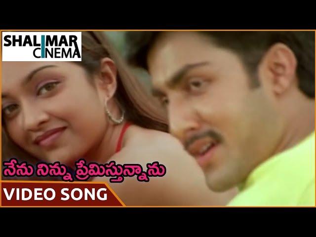 Nenu Ninnu Premistunnanu Movie || Doorana Video Song || Prasanna Keerti Shaheen