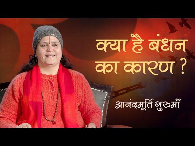 क्या है बंधन का कारण | Anandmurti Gurumaa