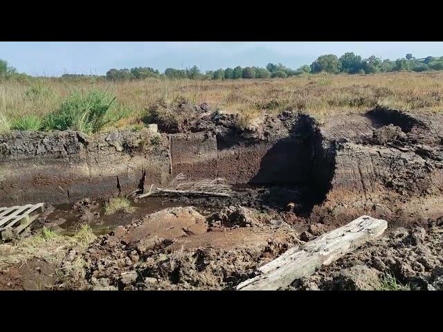 ЦІКАВА ІРЛАНДІЯ - ЯК РОСТЕ ТОРФ / INTERESTING IRELAND - HOW PEAT GROWS