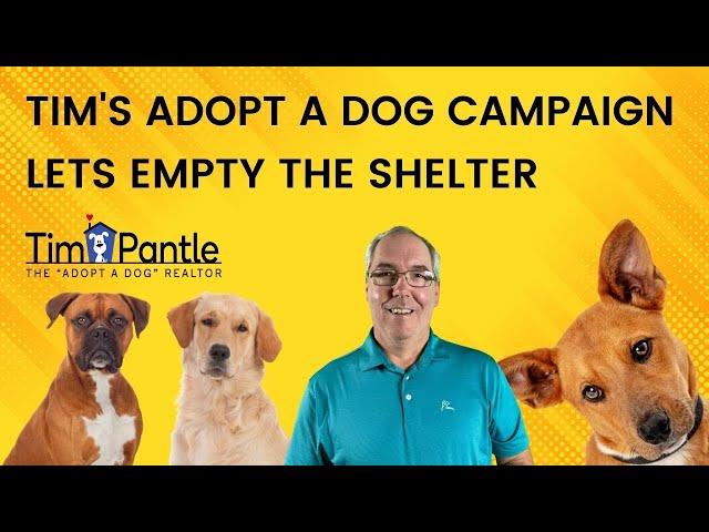 Calvin Saved Marvin From The Shelter | The Adopt a Dog Realtor