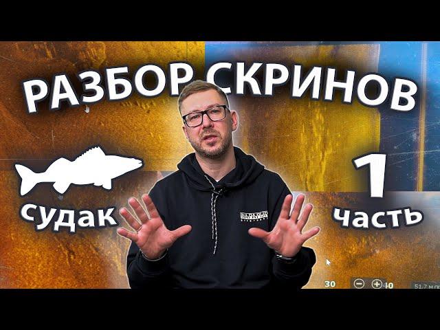 Как выглядит судак в эхолоте??? Разбор скринов. Сезон 2, серия 1.