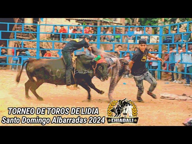 SANTO DOMINGO ALBARRADAS ASI SE VIVIO EL TORNEO DE TOROS DE LIDIA