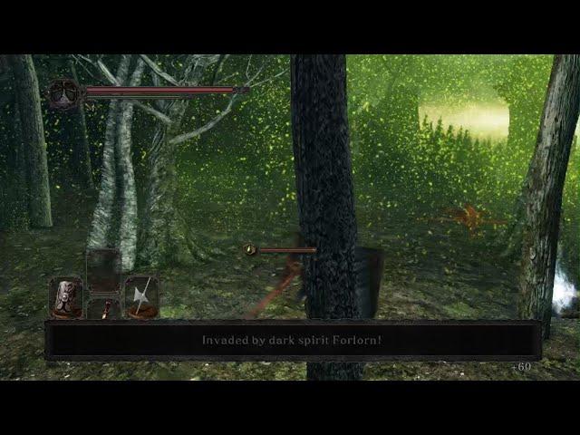 DARK SOULS II: SOTFS Tower Knight vs Forlorn CoC