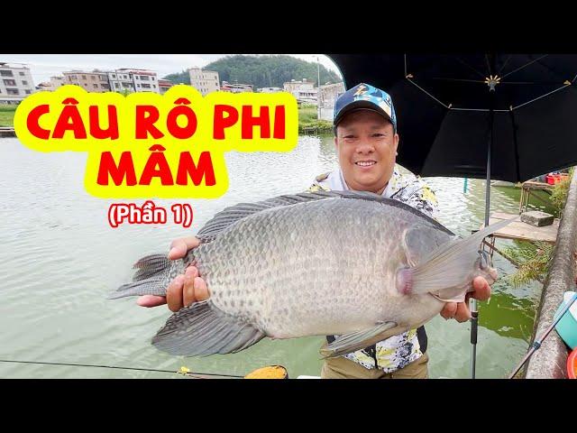 Câu RÔ PHI MÂM - Phần 1