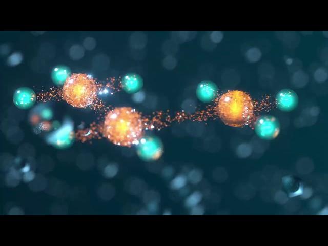 Molecular Animation