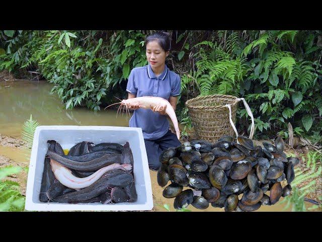 Ella Harvesting Catfish Go to the market to sell