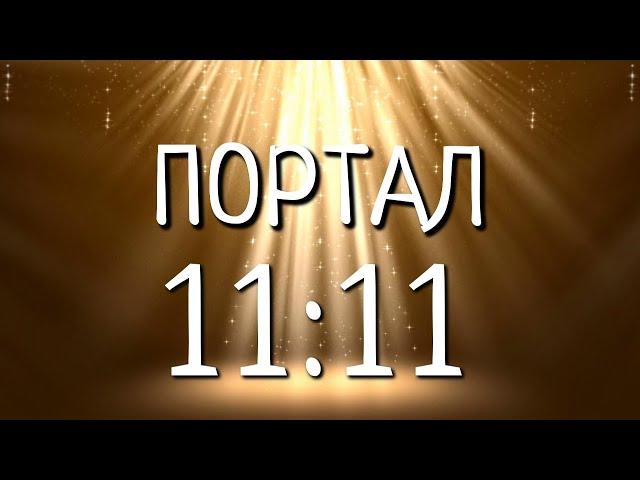 ПОРТАЛ 11.11. 2024