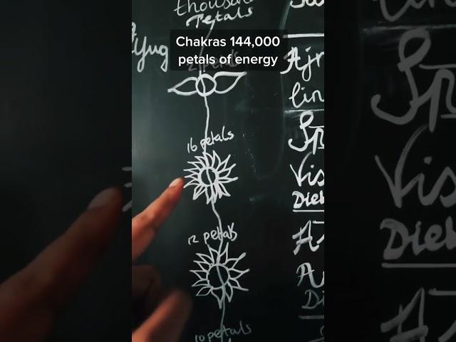 Chakras and the 144,000 lotus petals of energy #shorts #chakras #consciousness #energy #vib