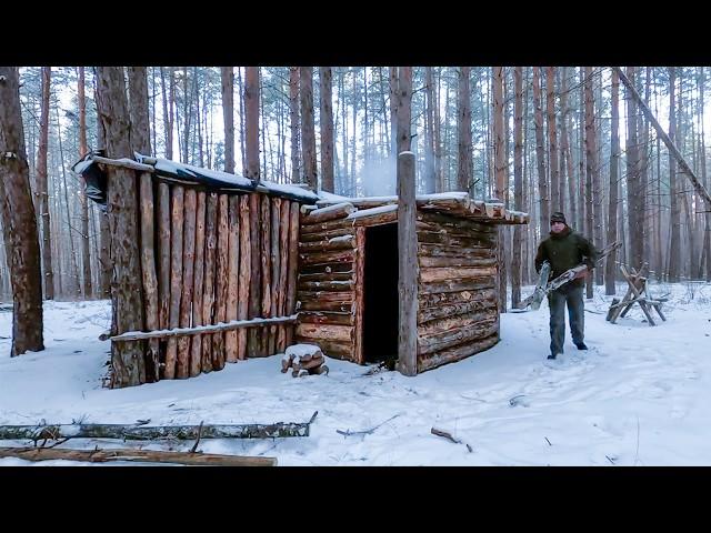 Shelter building in the woods, bushcraft modern