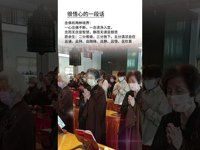 修行，不是非要去深山，而是在日常中做一個溫柔有力量的人。#智慧 #道法自然 #正能量 #人生感悟#禅意生活