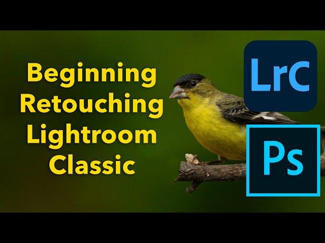 Beginning Retouching in Lightroom Classic