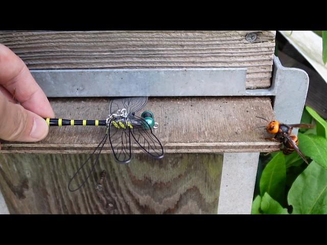 Saving Honey Bees: Dragonfly Figurine vs. Giant Hornets