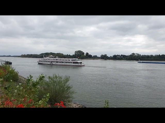 MS Germania in  Rees auf dem Rhein 17. September 2024