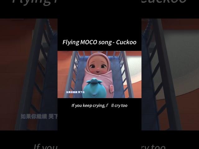 Flying MOCO  | Cuckoo 布穀鳥01 | Flying MOCO Songs (2025)