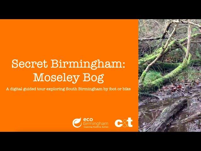 Secret Birmingham - Moseley Bog