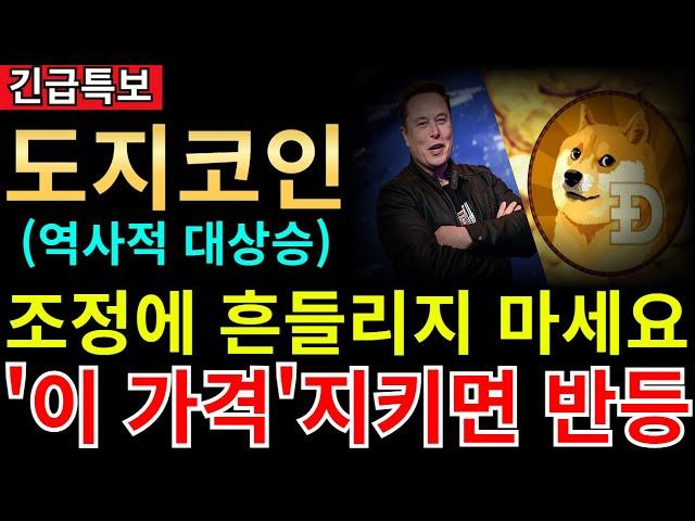 도지코인 조정에 흔들리지 마세요. "이 가격" 지키면 역사적 대상승 옵니다!!!