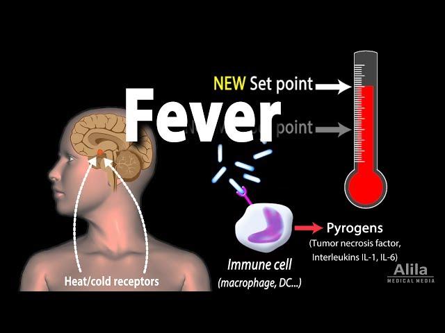 Induction of Fever, Control of Body Temperature, Hyperthermia, Animation.