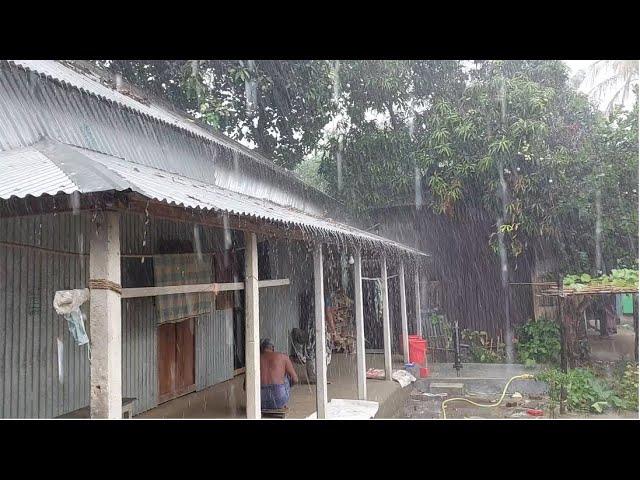 Wonderful rainy season in Bangladesh  village / Village rainy day