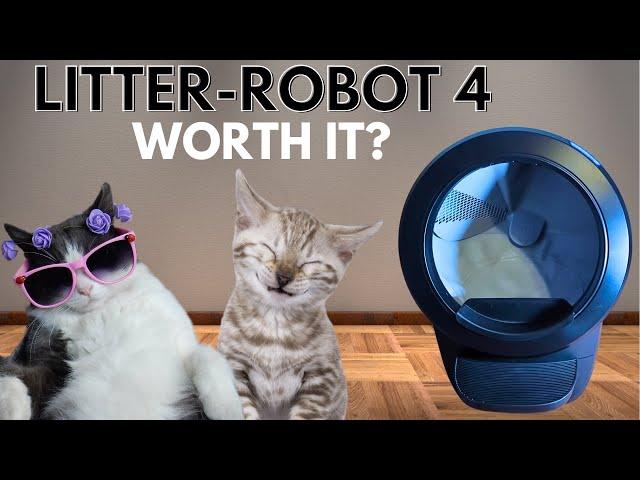 Litter-Robot 4: Is It Worth Buying?