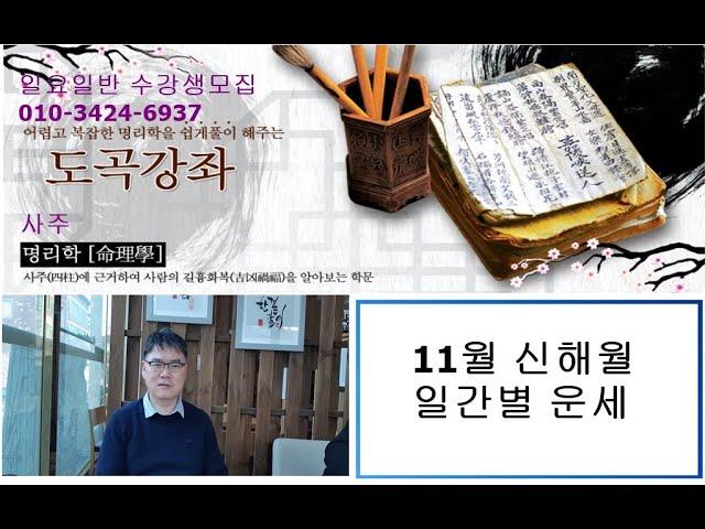 11월 일간별 운세 , 신해월 일간별 운세파악.