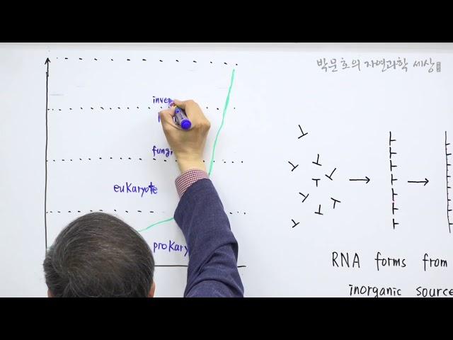 47.2002년 네이쳐지 리뷰 페이퍼 두번째 도표_1