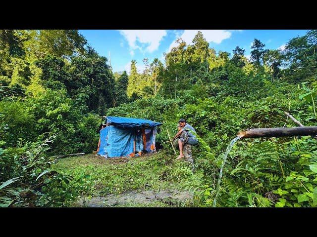 Solo Bushcaft: House repair helps an old man living alone in the forest plan to build a new house.