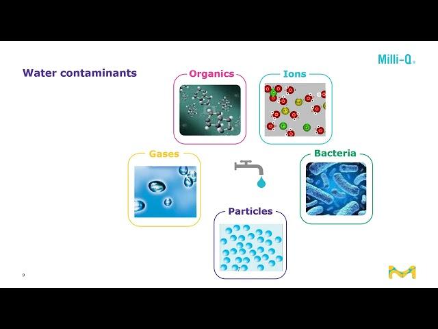 Webinar Unlock the Secrets to Lab Water Purification