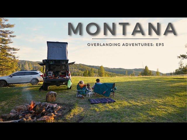 Cooking New York Steaks & Truck Camping in MONTANA