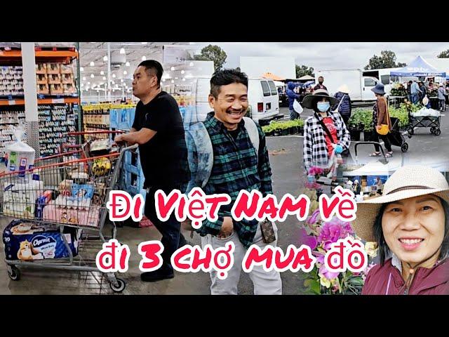 Đi Việt Nam về mua 3 xe đồ ở 3 chợ lớn ở Mỹ