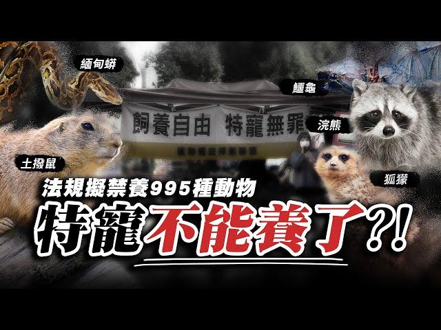 政府即將禁養高達995種動物？！大家最不能接受的是？ | 蝌蚪老師與三桃