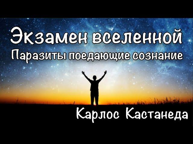 Энергетические паразиты человека. Существа поедающие осознание. Карлос Кастанеда.