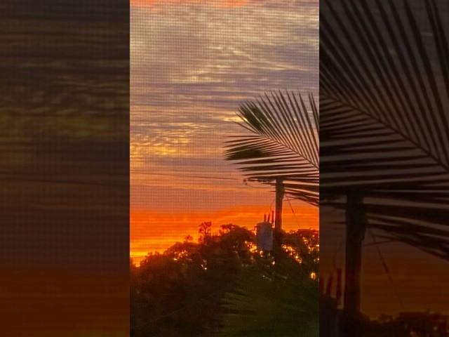 #florida Amazing Night Sky in Sebastian Florida