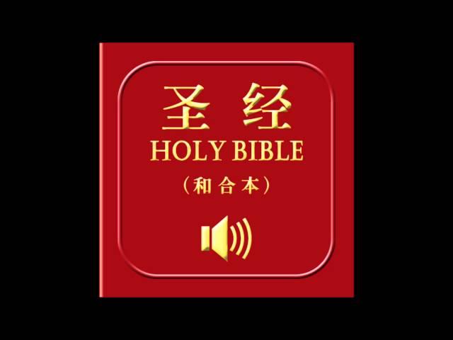 和合本圣经 • 路加福音 | Chinese Union Version Bible • Luke