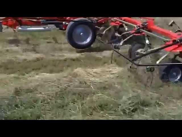 TD1648 6 star Massey Ferguson Tedder