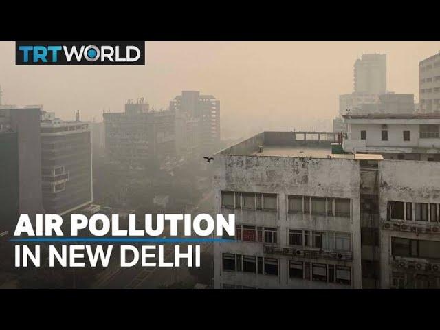 New Delhi's air quality reaches severe levels due to pollution