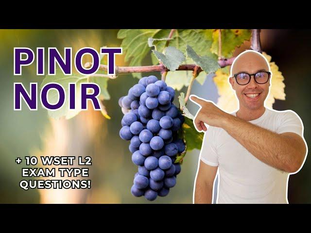 WSET Level 2 in Wines: Pinot Noir (+10 WSET exam type questions)