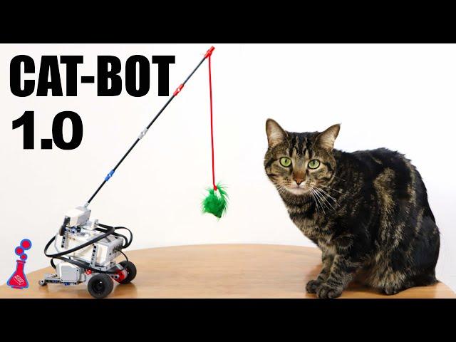 I Built a LEGO ROBOT to play with My Cat