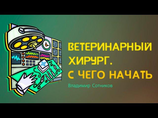 Ветеринарный хирург. С чего начать