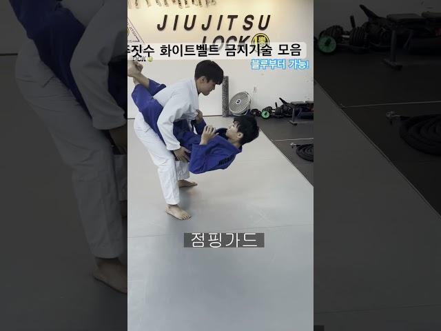 주짓수 화이트벨트 금지기술 모음!!