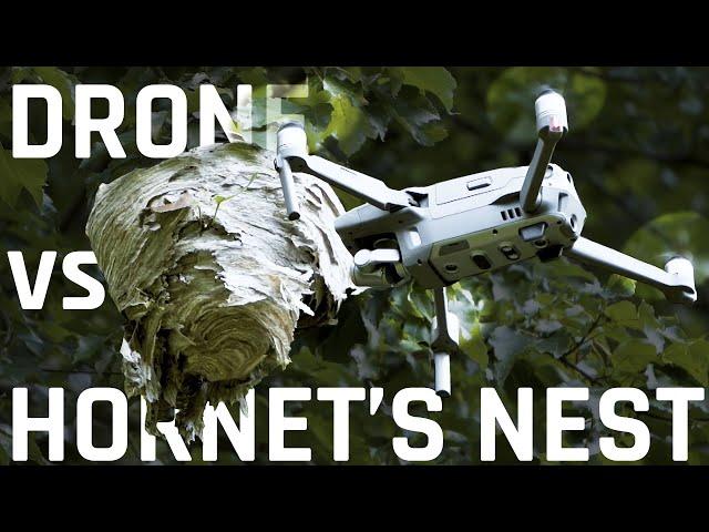 Drone vs Hornet's Nest - An Epic Battle