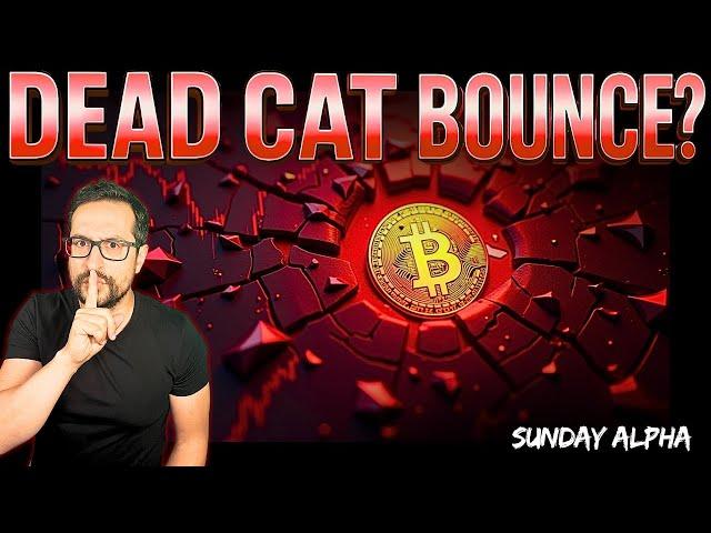 Bitcoin Dead Cat Bounce Warning - Key Levels to Watch - Sunday Alpha