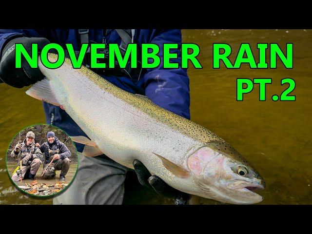 November Steelhead!! Non-Stop Action!