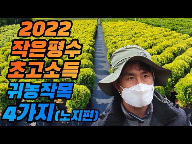 2022 작은땅 초고소득 귀농작목 Top 4 (노지편)