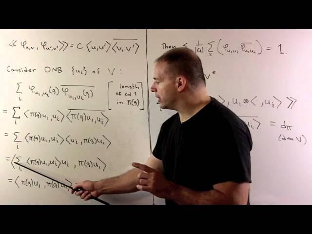 RT8.1. Schur Orthogonality Relations
