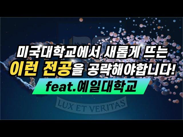 미국대학교에서 새롭게 뜨고 있는 이런 전공을 공략해야합니다! (Feat. 예일)